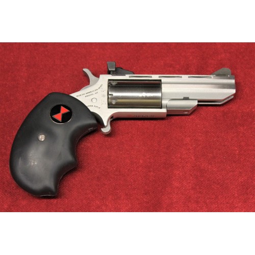 NORTH AMERICAN ARMS 22LR