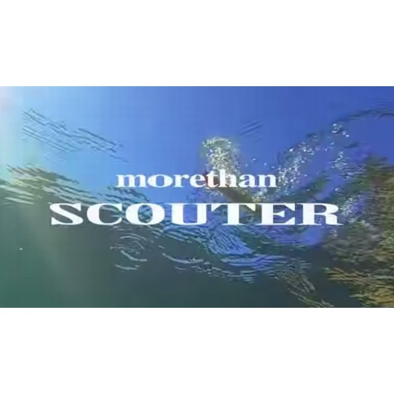 Daiwa Morethan SCOUTER 110F 18.8gr 110mm col. 3841-Over Night