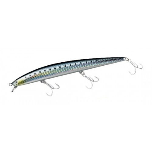 SS SLANDER SHORE LINE SHINER 17F col.Laser Maiwashi