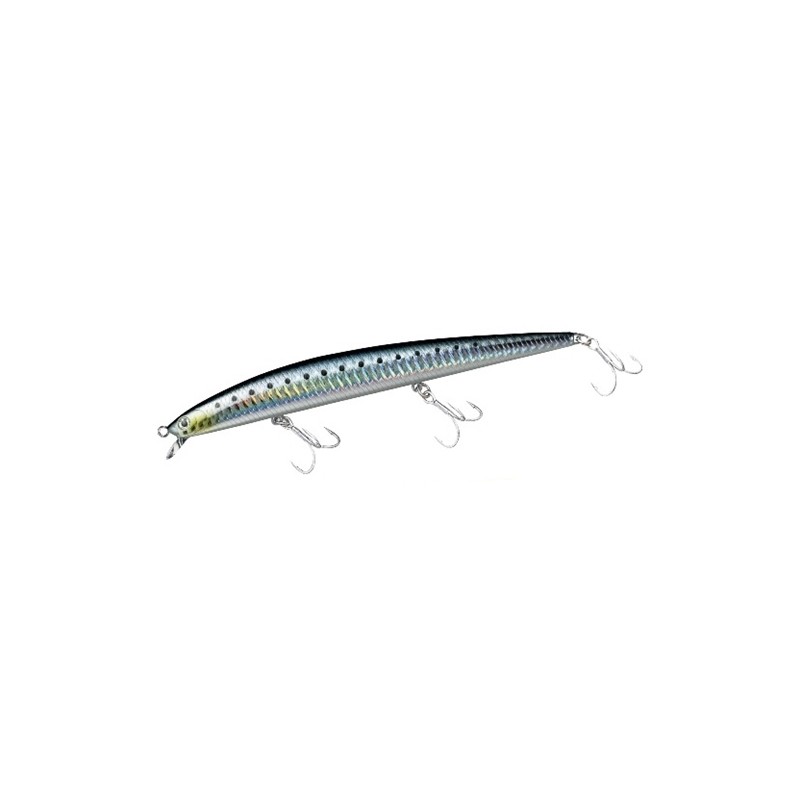 SS SLANDER SHORE LINE SHINER 17F col.Laser Maiwashi